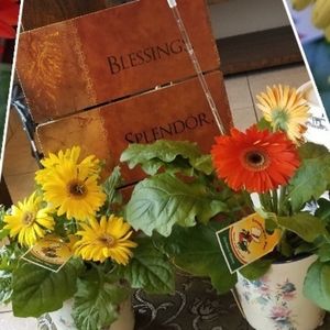 Vintage ~ One of a Kind